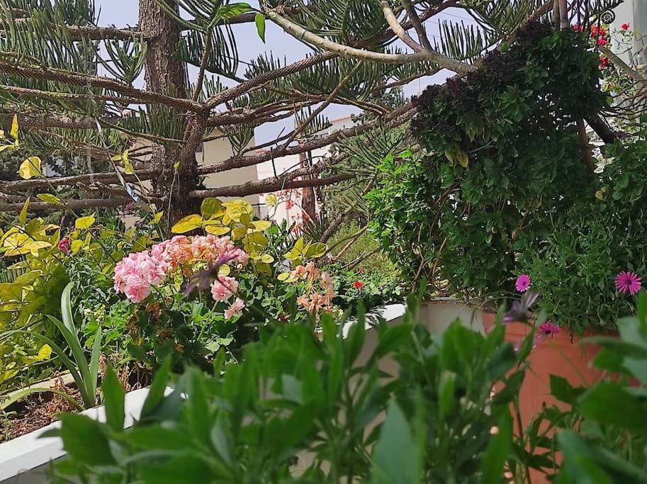 Apartment Annitas Luxury Oasis Athens