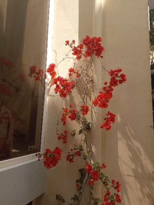 Apartment Annitas Luxury Oasis