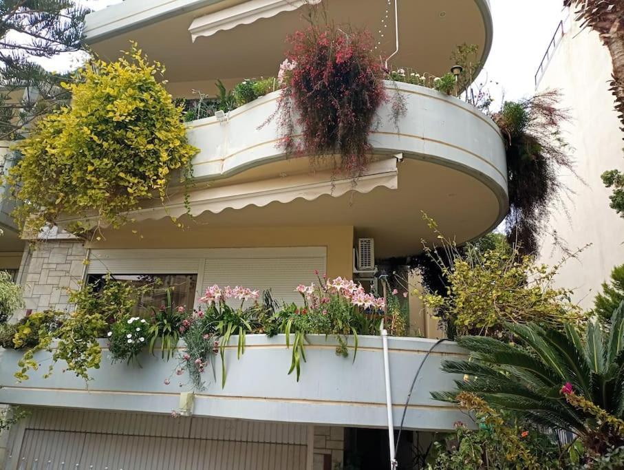 Annitas Luxury Oasis * Athens