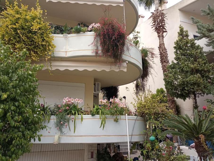Apartment Annitas Luxury Oasis *