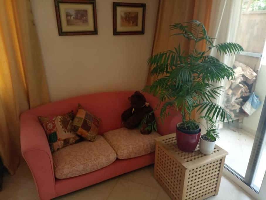 Annitas Luxury Oasis